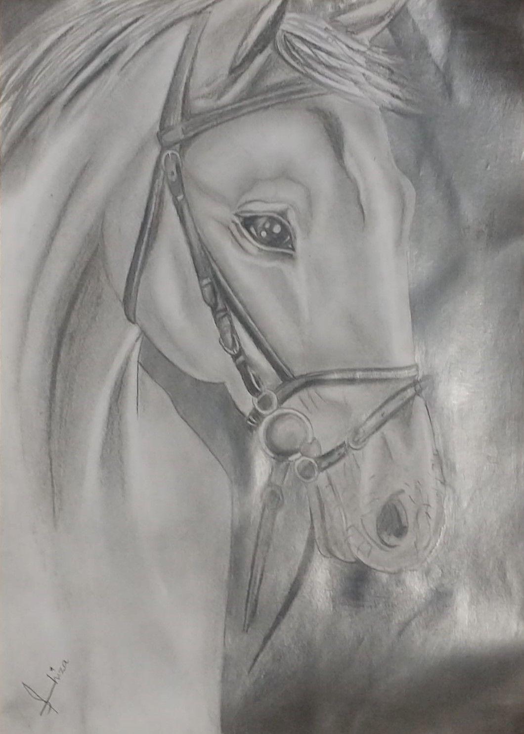 HorseSketch